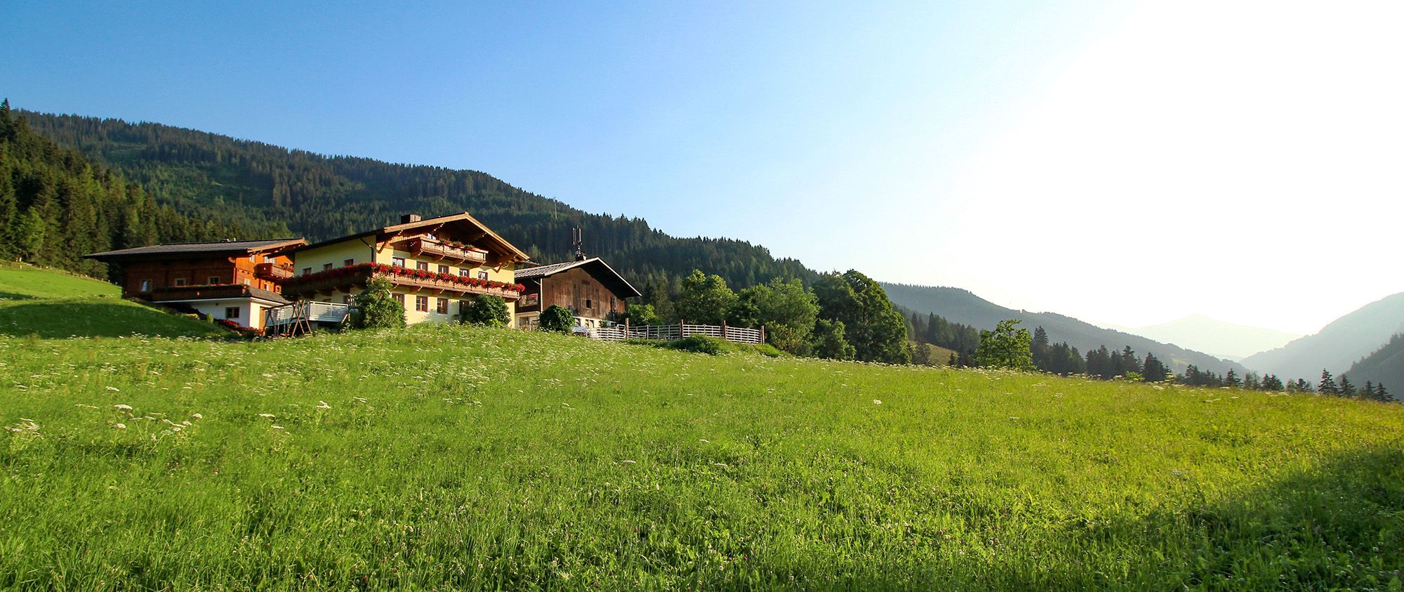Appartements Richlegghof Sommerurlaub am Bauernhof mit unvergleichlich schönem Panorama