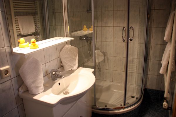 Badezimmer mit Du/WC im Appartement Holzblockhaus